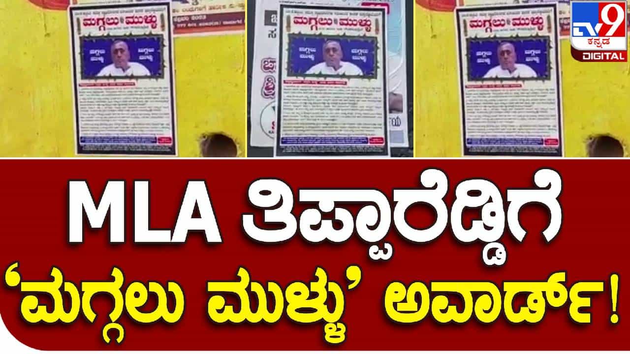 Mla thippareddy: ಚಿತ್ರದುರ್ಗ ಬಿಜೆಪಿ ಶಾಸಕ‌ ಜಿ.ಹೆಚ್.ತಿಪ್ಪಾರೆಡ್ಡಿ ವಿರುದ್ಧ 'ಮಗ್ಗಲು ಮುಳ್ಳು' ಎಂದು ಭಿತ್ತಿಪತ್ರ