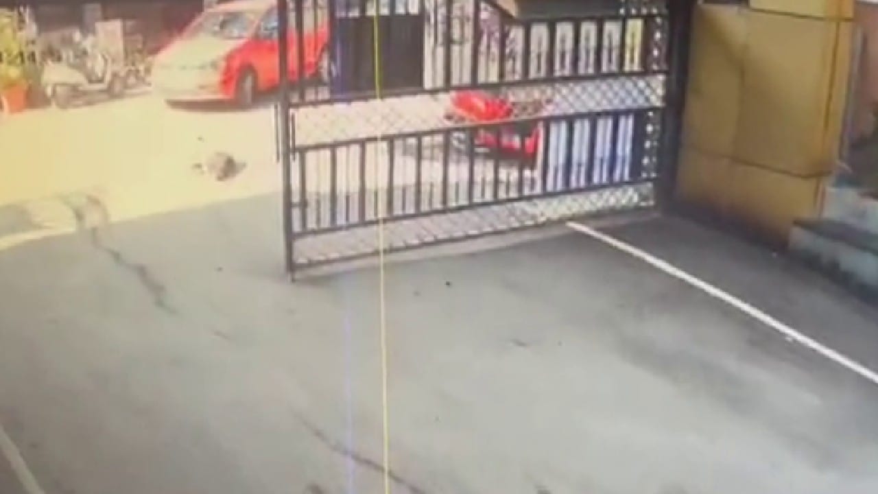 ರಸ್ತೆ ಪಕ್ಕದಲ್ಲಿ ಮಲಗಿದ್ದ ನಾಯಿಯ ಮೇಲೆ ಕಾರು ಹತ್ತಿಸಿದ ವ್ಯಕ್ತಿ; ಸಾಮಾಜಿಕ ಜಾಲತಾಣದಲ್ಲಿ ಆಕ್ರೋಶ ರಸ್ತೆ ಪಕ್ಕದಲ್ಲಿ ಮಲಗಿದ್ದ ನಾಯಿಯ ಮೇಲೆ ಕಾರು ಹತ್ತಿಸಿದ ವ್ಯಕ್ತಿ; ಸಾಮಾಜಿಕ ಜಾಲತಾಣದಲ್ಲಿ ಆಕ್ರೋಶ