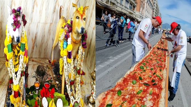 ನಿಮಗಿದು ಗೊತ್ತೇ: ಕರ್ನಾಟಕದಲ್ಲಿ ನಾಯಿಗೆ ದೇವಸ್ಥಾನವಿದೆ? ಪ್ರಪಂಚದ ಅತಿ ಉದ್ದದ ಪಿಜ್ಜಾ?