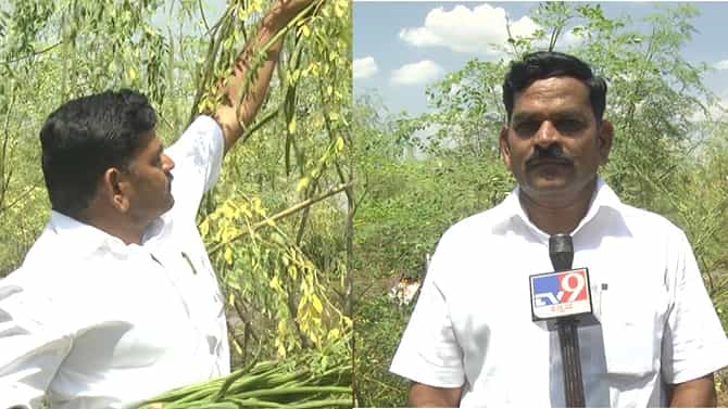 ಕಡಿಮೆ ನೀರು, ಬಂಜರು ಭೂಮಿಯಲ್ಲಿ ನುಗ್ಗೆ ಕಾಯಿ ಬೆಳೆದು ಸೈ ಎನಿಸಿಕೊಂಡ ರೈತ