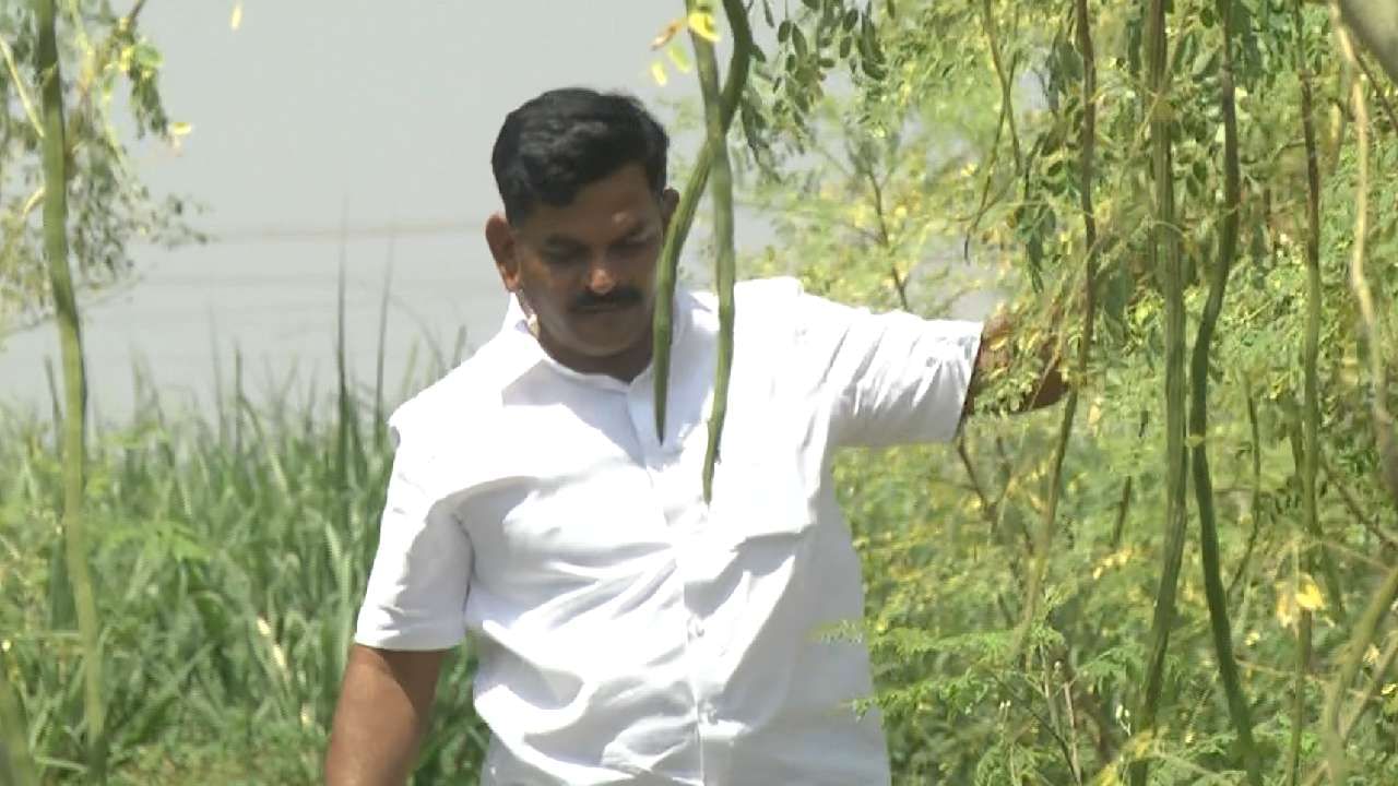 Bidar Farmer who successfully cultivated drumstick In barren land at Bidar news in kannada
