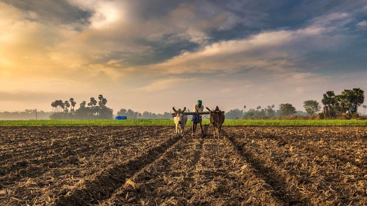 PM Kisan: ಲಕ್ಷಾಂತರ ಮಂದಿಗೆ ಕೈತಪ್ಪಿದೆ ಪಿಎಂ ಕಿಸಾನ್ ಹಣ; ಕಾರಣ ಏನು?