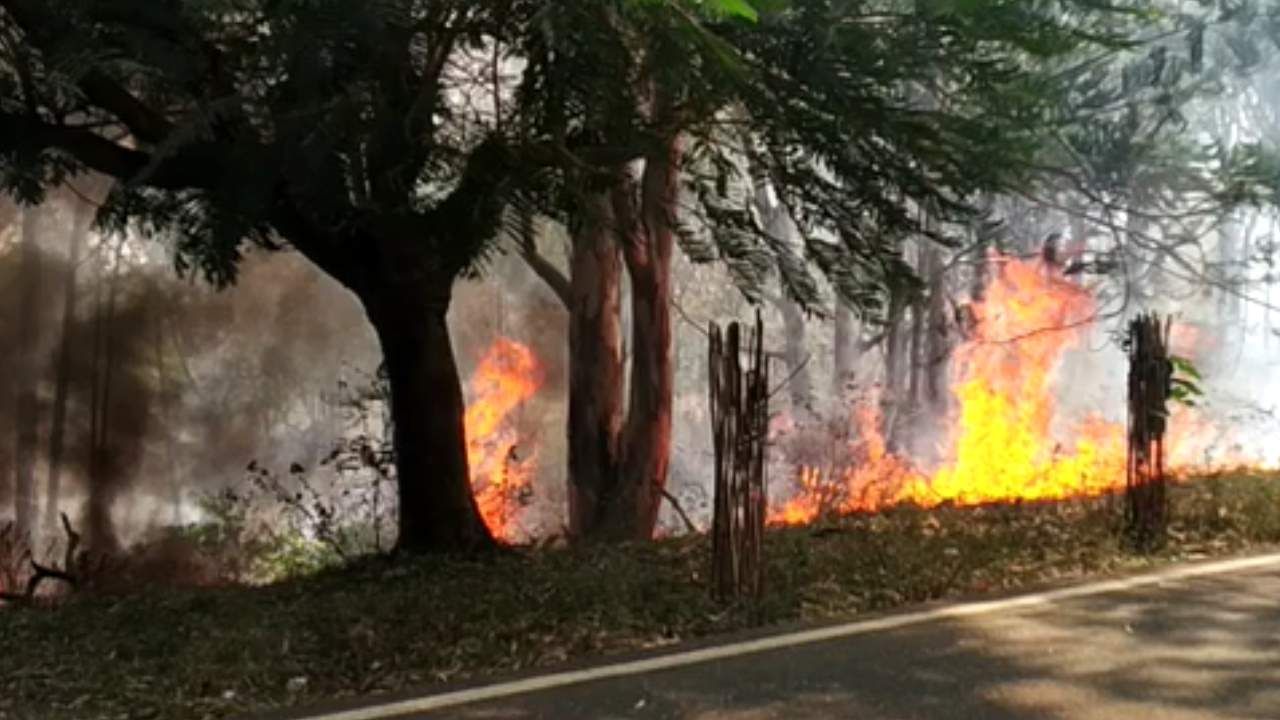 ಬೆಂಗಳೂರು ವಿಶ್ವವಿದ್ಯಾಲಯದ ಕ್ಯಾಂಪಸ್​ನಲ್ಲಿ ಬೆಂಕಿ: 3 ಎಕರೆಯಷ್ಟು ಅರಣ್ಯ ಪ್ರದೇಶ ಬೆಂಕಿಗಾಹುತಿ