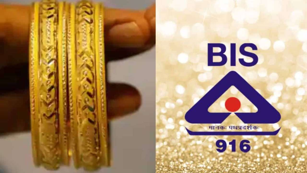 Hallmark Gold: ಏಪ್ರಿಲ್ 1ರಿಂದ ಹಾಲ್ಮಾರ್ಕ್ ಇಲ್ಲದ ಚಿನ್ನಕ್ಕೆ ನಿಷೇಧ; ಹಳೆಯ ಒಡವೆ ಹೊಂದಿದವರು ಏನು ಮಾಡಬೇಕು? Hallmark Gold: ಏಪ್ರಿಲ್ 1ರಿಂದ ಹಾಲ್ಮಾರ್ಕ್ ಇಲ್ಲದ ಚಿನ್ನಕ್ಕೆ ನಿಷೇಧ; ಹಳೆಯ ಒಡವೆ ಹೊಂದಿದವರು ಏನು ಮಾಡಬೇಕು?