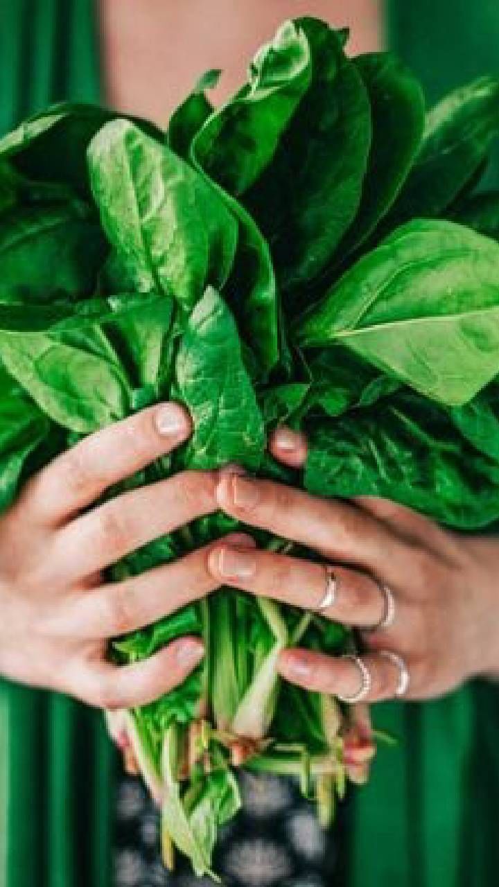 green healthy food