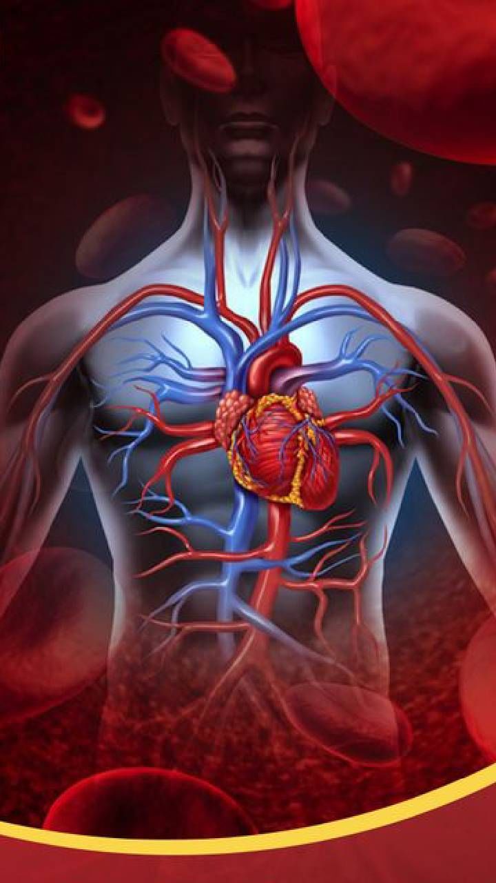 healthy heart