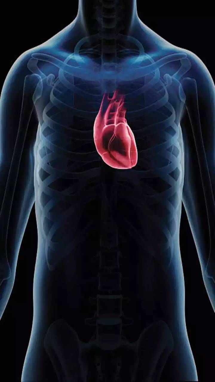 heart