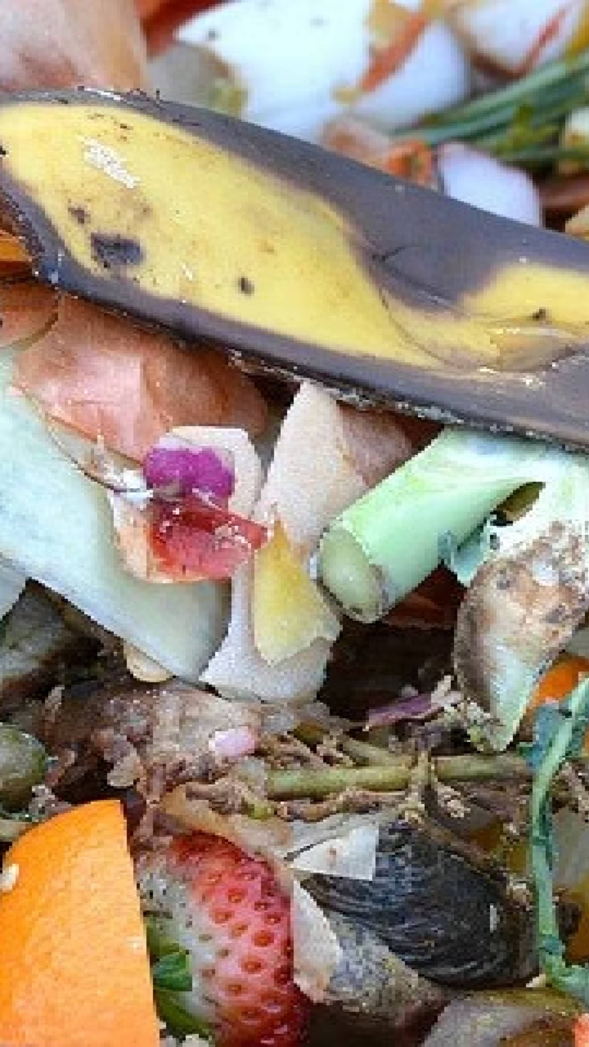 kitchen-waste (4)