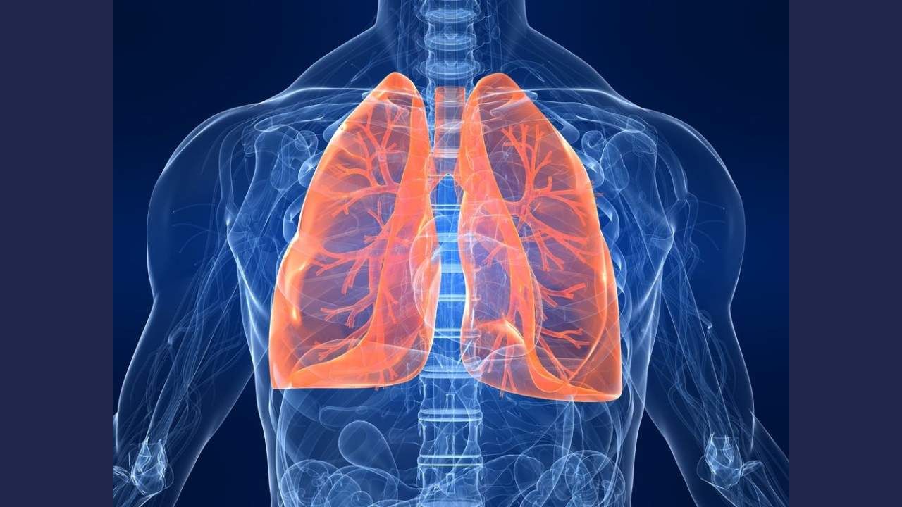 Lungs Health: ಆರೋಗ್ಯಕರ ಶ್ವಾಸಕೋಶ ನಿಮ್ಮದಾಗಬೇಕೆಂದರೆ ಈ ವಿಷಯಗಳನ್ನು ತಿಳಿದುಕೊಳ್ಳಿ