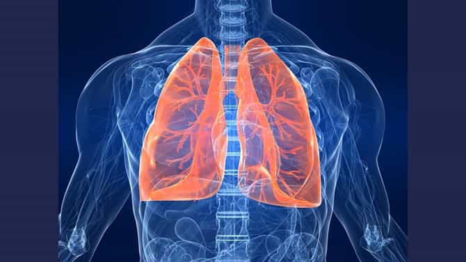 Lungs Health: ಆರೋಗ್ಯಕರ ಶ್ವಾಸಕೋಶ ನಿಮ್ಮದಾಗಬೇಕೆಂದರೆ ಈ ವಿಷಯಗಳನ್ನು ತಿಳಿದುಕೊಳ್ಳಿ