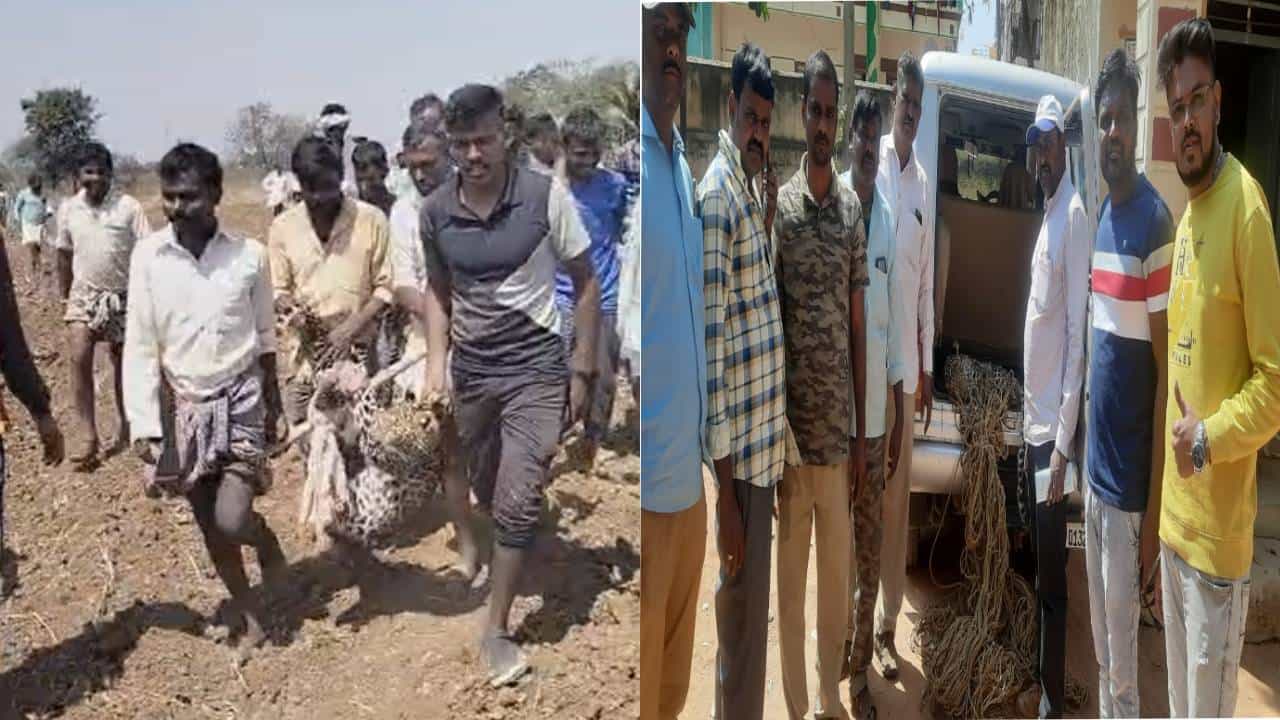ವಿಜಯನಗರ: ಪಂಪ್‌ಹೌಸಿನಲ್ಲಿ ಸಿಲುಕಿದ್ದ ಚಿರತೆಯನ್ನ ಸೆರೆ ಹಿಡಿದ ಅರಣ್ಯ ಇಲಾಖೆ ಸಿಬ್ಬಂದಿ
