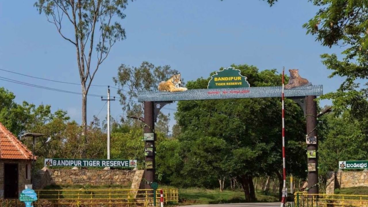 PM Narendra Modi will visits Mysore on April 8 and 9 and Bandipura tiger nationl Park 