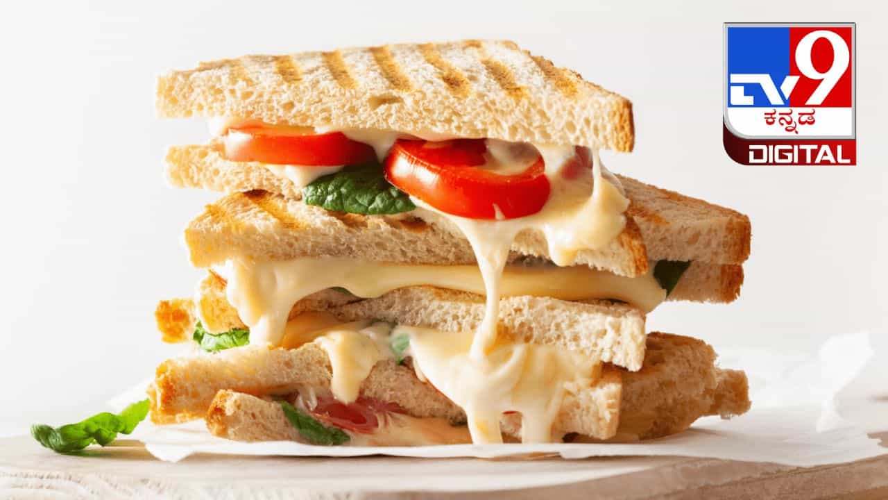 Best Sandwiches: ವಿಶ್ವದ ಅತ್ಯುತ್ತಮ 8 ಸ್ಯಾಂಡ್ವಿಚ್ ಬಗ್ಗೆ ನಿಮಗೆ ಗೊತ್ತಾ? ಇಲ್ಲಿದೆ ಮಾಹಿತಿ Best Sandwiches: ವಿಶ್ವದ ಅತ್ಯುತ್ತಮ 8 ಸ್ಯಾಂಡ್ವಿಚ್ ಬಗ್ಗೆ ನಿಮಗೆ ಗೊತ್ತಾ? ಇಲ್ಲಿದೆ ಮಾಹಿತಿ