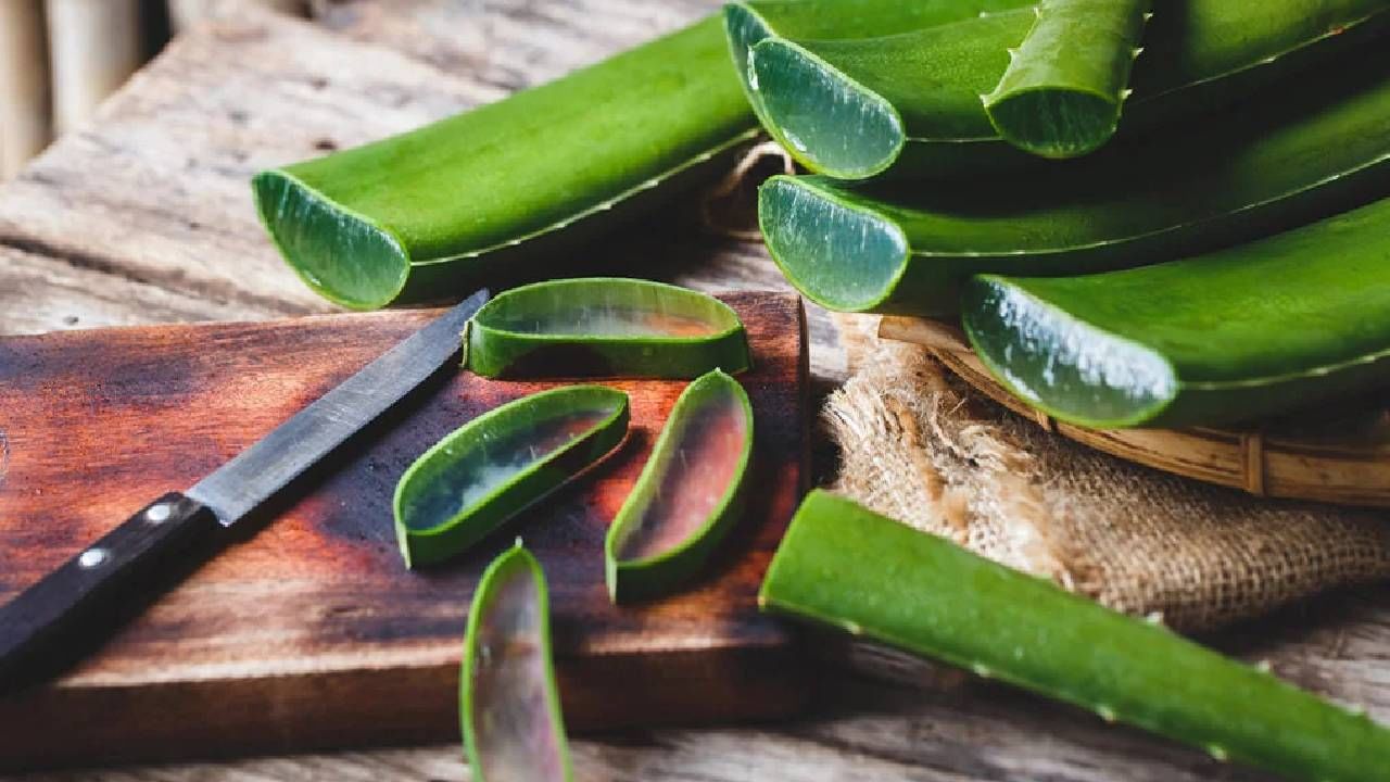 ಅಲೋವೆರಾ(Aloe vera): ಅಲೋವೆರಾ ನೈಸರ್ಗಿಕ ಉರಿಯೂತ ನಿವಾರಕವಾಗಿದೆ ಮತ್ತು ಕಿರಿಕಿರಿಗೊಂಡ ಚರ್ಮವನ್ನು ಶಮನಗೊಳಿಸಲು ಸಹಾಯ ಮಾಡುತ್ತದೆ. ಅಲೋವೆರಾ ಜೆಲ್ ಅನ್ನು ನೇರವಾಗಿ ಪೀಡಿತ ಪ್ರದೇಶಕ್ಕೆ ಅನ್ವಯಿಸಿ. 