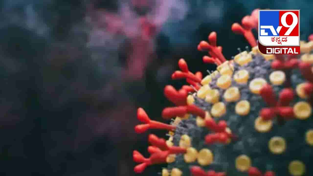 Arcturus Or The XBB.1.16 Variant: ಕೋವಿಡ್-19 ಹೊಸ ರೂಪಾಂತರವು ಹೆಚ್ಚು ಅಪಾಯಕಾರಿಯೇ?ಇಲ್ಲಿದೆ ಮಾಹಿತಿ