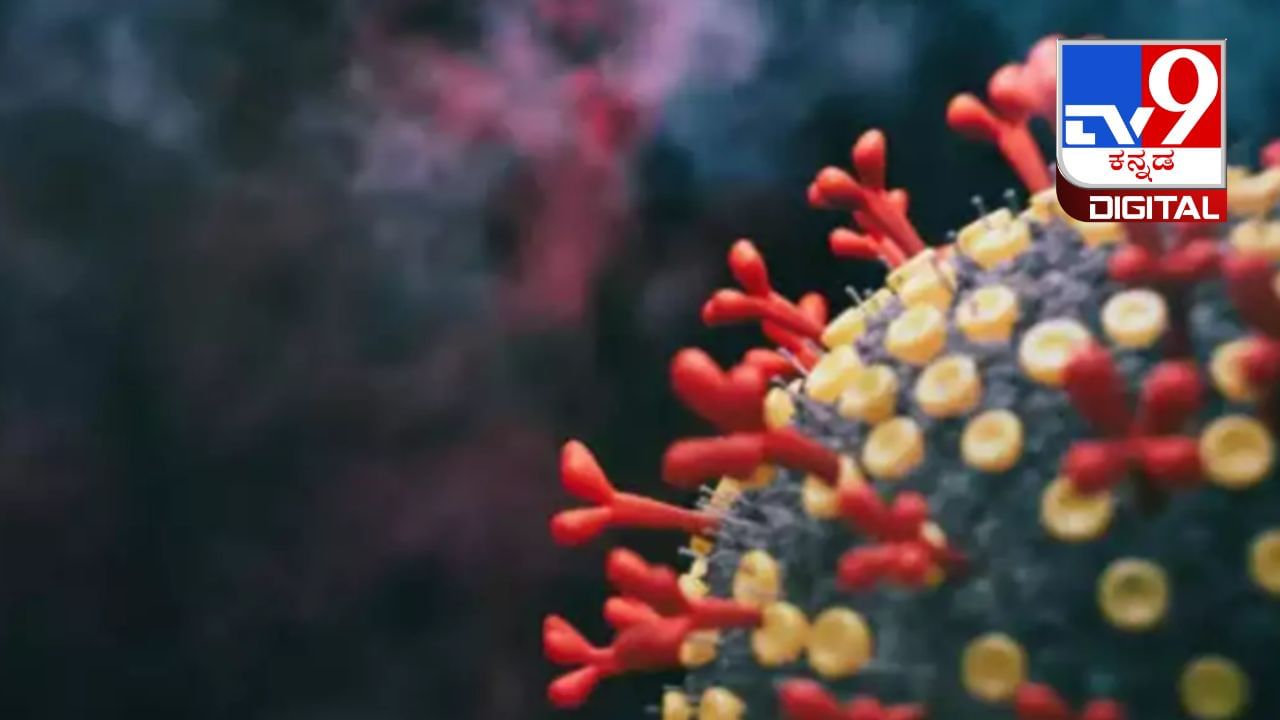 Arcturus Or The XBB.1.16 Variant: ಕೋವಿಡ್-19 ಹೊಸ ರೂಪಾಂತರವು ಹೆಚ್ಚು ಅಪಾಯಕಾರಿಯೇ?ಇಲ್ಲಿದೆ ಮಾಹಿತಿ Arcturus Or The XBB.1.16 Variant: ಕೋವಿಡ್-19 ಹೊಸ ರೂಪಾಂತರವು ಹೆಚ್ಚು ಅಪಾಯಕಾರಿಯೇ?ಇಲ್ಲಿದೆ ಮಾಹಿತಿ