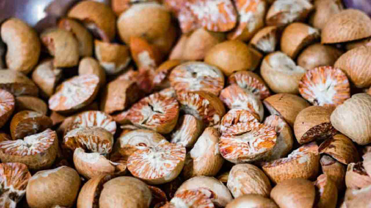 Areca Nut Price: ಇಂದಿನ ಅಡಿಕೆ ಮಾರುಕಟ್ಟೆ ಧಾರಣೆ: ಎಲ್ಲೆಲ್ಲಿ ಅಡಿಕೆ ಧಾರಣೆ ಎಷ್ಟಿದೆ: ಇಲ್ಲಿದೆ ಮಾಹಿತಿ