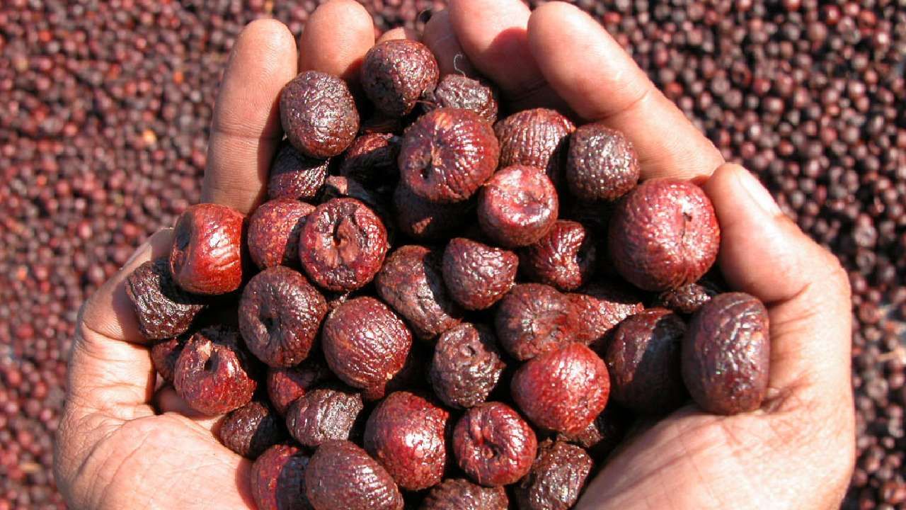 Areca Nut Price: ಇಂದಿನ ಅಡಿಕೆ ಮಾರುಕಟ್ಟೆ ಧಾರಣೆ: ಎಲ್ಲೆಲ್ಲಿ ಅಡಿಕೆ ಧಾರಣೆ ಎಷ್ಟಿದೆ: ಇಲ್ಲಿದೆ ಮಾಹಿತಿ Areca Nut Price: ಇಂದಿನ ಅಡಿಕೆ ಮಾರುಕಟ್ಟೆ ಧಾರಣೆ: ಎಲ್ಲೆಲ್ಲಿ ಅಡಿಕೆ ಧಾರಣೆ ಎಷ್ಟಿದೆ: ಇಲ್ಲಿದೆ ಮಾಹಿತಿ