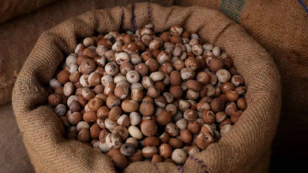 Areca Nut Price: ಇಂದಿನ ಅಡಿಕೆ ಮಾರುಕಟ್ಟೆ ಧಾರಣೆ: ಎಲ್ಲೆಲ್ಲಿ ಅಡಿಕೆ ಧಾರಣೆ ಎಷ್ಟಿದೆ: ಇಲ್ಲಿದೆ ಮಾಹಿತಿ Areca Nut Price: ಇಂದಿನ ಅಡಿಕೆ ಮಾರುಕಟ್ಟೆ ಧಾರಣೆ: ಎಲ್ಲೆಲ್ಲಿ ಅಡಿಕೆ ಧಾರಣೆ ಎಷ್ಟಿದೆ: ಇಲ್ಲಿದೆ ಮಾಹಿತಿ