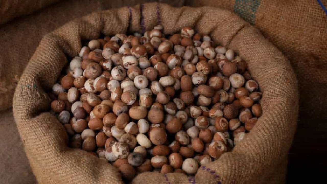 Areca Nut Price: ಇಂದಿನ ಅಡಿಕೆ ಮಾರುಕಟ್ಟೆ ಧಾರಣೆ: ಎಲ್ಲೆಲ್ಲಿ ಅಡಿಕೆ ಧಾರಣೆ ಎಷ್ಟಿದೆ: ಇಲ್ಲಿದೆ ಮಾಹಿತಿ Areca Nut Price: ಇಂದಿನ ಅಡಿಕೆ ಮಾರುಕಟ್ಟೆ ಧಾರಣೆ: ಎಲ್ಲೆಲ್ಲಿ ಅಡಿಕೆ ಧಾರಣೆ ಎಷ್ಟಿದೆ: ಇಲ್ಲಿದೆ ಮಾಹಿತಿ