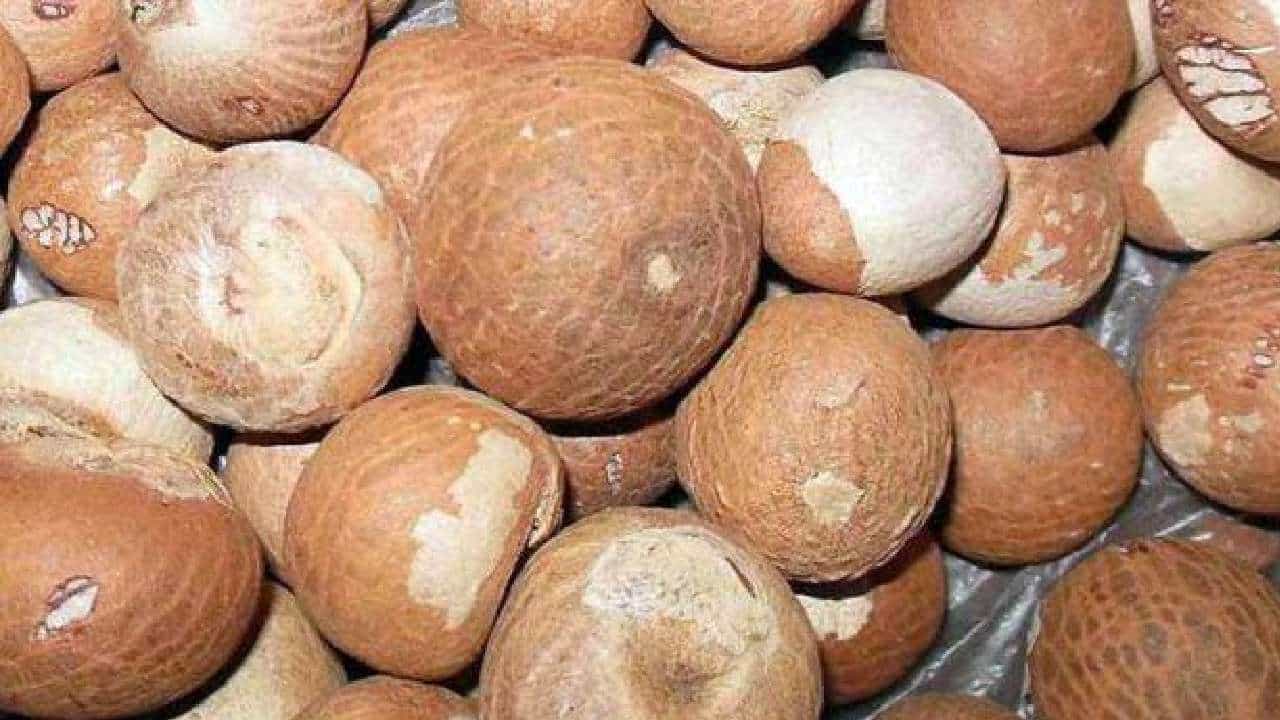 Areca Nut Price: ಇಂದಿನ ಅಡಿಕೆ ಮಾರುಕಟ್ಟೆ ಧಾರಣೆ: ಎಲ್ಲೆಲ್ಲಿ ಅಡಿಕೆ ಧಾರಣೆ ಎಷ್ಟಿದೆ: ಇಲ್ಲಿದೆ ಮಾಹಿತಿ Areca Nut Price: ಇಂದಿನ ಅಡಿಕೆ ಮಾರುಕಟ್ಟೆ ಧಾರಣೆ: ಎಲ್ಲೆಲ್ಲಿ ಅಡಿಕೆ ಧಾರಣೆ ಎಷ್ಟಿದೆ: ಇಲ್ಲಿದೆ ಮಾಹಿತಿ