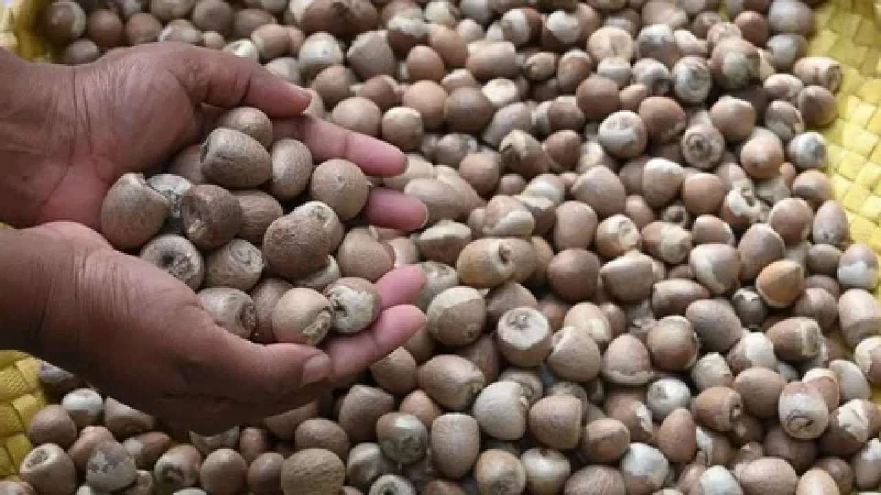 Areca Nut Price: ಇಂದಿನ ಅಡಿಕೆ ಮಾರುಕಟ್ಟೆ ಧಾರಣೆ, ಎಲ್ಲೆಲ್ಲಿ ಎಷ್ಟಿದೆ: ಇಲ್ಲಿದೆ ಮಾಹಿತಿ Areca Nut Price: ಇಂದಿನ ಅಡಿಕೆ ಮಾರುಕಟ್ಟೆ ಧಾರಣೆ, ಎಲ್ಲೆಲ್ಲಿ ಎಷ್ಟಿದೆ: ಇಲ್ಲಿದೆ ಮಾಹಿತಿ