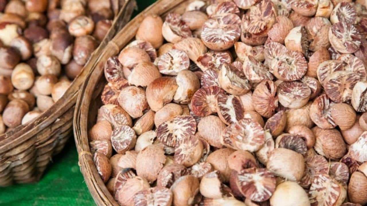 Areca Nut Price: ಇಂದಿನ ಅಡಿಕೆ ಮಾರುಕಟ್ಟೆ ಧಾರಣೆ, ಎಲ್ಲೆಲ್ಲಿ ಎಷ್ಟಿದೆ: ಇಲ್ಲಿದೆ ಮಾಹಿತಿ Areca Nut Price: ಇಂದಿನ ಅಡಿಕೆ ಮಾರುಕಟ್ಟೆ ಧಾರಣೆ, ಎಲ್ಲೆಲ್ಲಿ ಎಷ್ಟಿದೆ: ಇಲ್ಲಿದೆ ಮಾಹಿತಿ