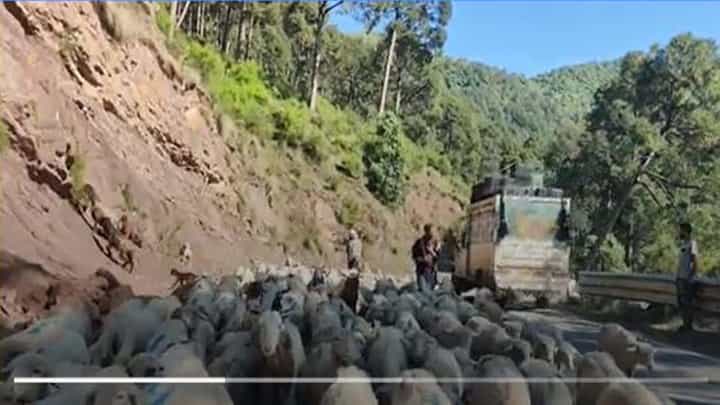 Bakerwal nomad community: ಜಮ್ಮು ಮತ್ತು ಕಾಶ್ಮೀರದ ಬಕರ್ವಾಲ್ ಅಲೆಮಾರಿ ಜನಾಂಗದ ಬದುಕು ಅಲೆದಾಟದಲ್ಲೇ ಮುಗಿದುಹೋಗುತ್ತದೆ! Bakerwal nomad community: ಜಮ್ಮು ಮತ್ತು ಕಾಶ್ಮೀರದ ಬಕರ್ವಾಲ್ ಅಲೆಮಾರಿ ಜನಾಂಗದ ಬದುಕು ಅಲೆದಾಟದಲ್ಲೇ ಮುಗಿದುಹೋಗುತ್ತದೆ!
