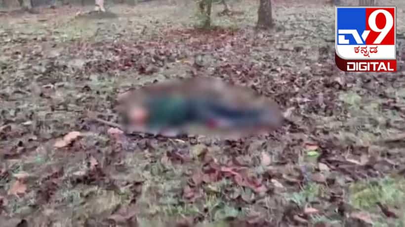 Balaghat: ಬಾಲಘಾಟ್ನಲ್ಲಿ ಇಬ್ಬರು ನಕ್ಸಲ್ ಮಹಿಳೆಯರ ಎನ್ಕೌಂಟರ್