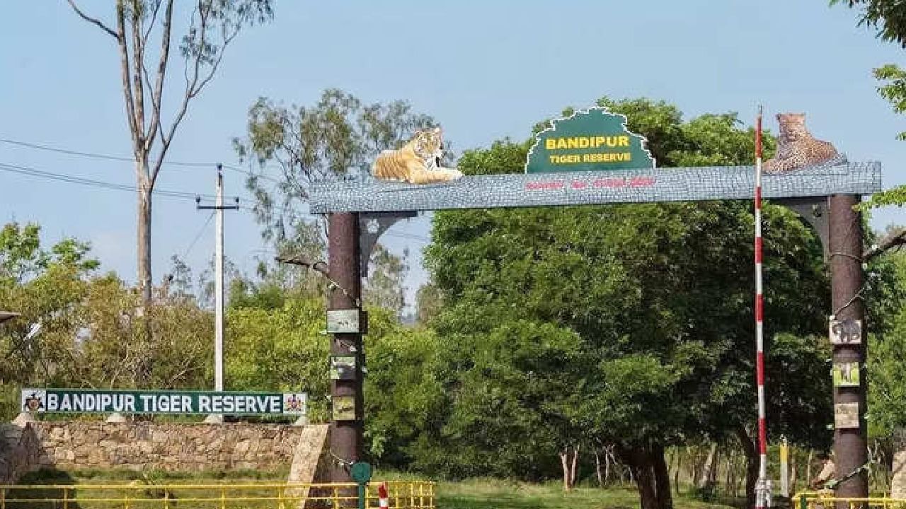 Bandipur National Park: ಪ್ರವಾಸಿಗರ ಗಮನಕ್ಕೆ,  ಏಪ್ರಿಲ್​ 8 ಮತ್ತು 9 ರಂದು ಬಂಡೀಪುರ ರಾಷ್ಟ್ರೀಯ ಉದ್ಯಾನವನಕ್ಕೆ ನೋ ಎಂಟ್ರಿ