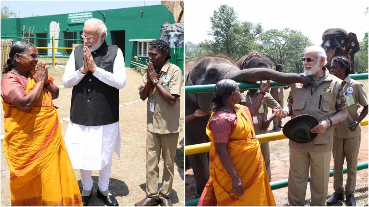 ‘ಬೊಮ್ಮನ್-ಬೆಳ್ಳಿ ಮತ್ತು ರಾಘು ಜೊತೆ ಆಹಾ ಎಂಥ ಭೇಟಿ’; ಖುಷಿ ಹಂಚಿಕೊಂಡ ನರೇಂದ್ರ ಮೋದಿ ‘ಬೊಮ್ಮನ್-ಬೆಳ್ಳಿ ಮತ್ತು ರಾಘು ಜೊತೆ ಆಹಾ ಎಂಥ ಭೇಟಿ’; ಖುಷಿ ಹಂಚಿಕೊಂಡ ನರೇಂದ್ರ ಮೋದಿ