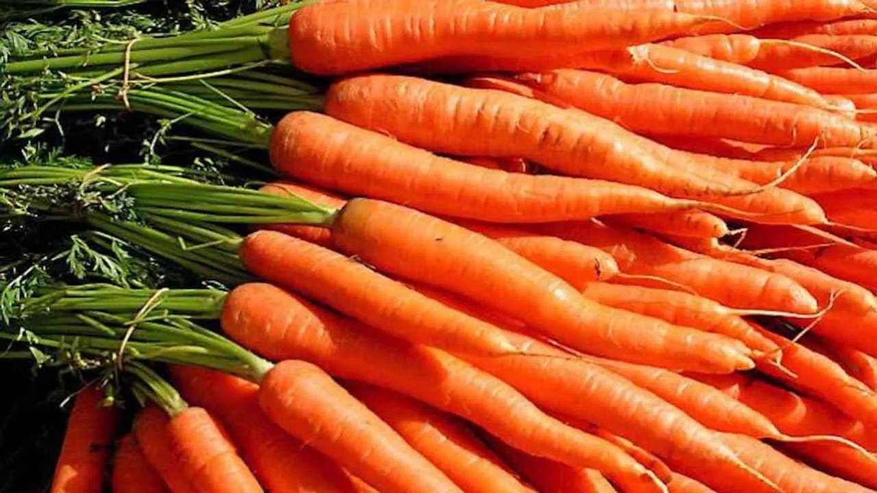 Carrot Benefits: ಹೈಡ್ರೇಷನ್​ನಿಂದ ಇಮ್ಯೂನಿಟಿವರೆಗೆ ಬೇಸಿಗೆಯಲ್ಲಿ ಕ್ಯಾರೆಟ್​ ತಿನ್ನುವುದರಿಂದಾಗುವ ಪ್ರಯೋಜನಗಳಿವು