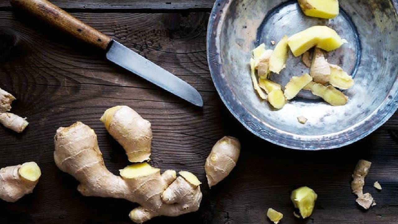 ಶುಂಠಿಯಿಂದ ಏನೆಲ್ಲಾ ಆರೋಗ್ಯ ಪ್ರಯೋಜನಗಳಿವೆ ಗೊತ್ತಾ? ಇಲ್ಲಿದೆ 10 ಅದ್ಭುತ ಟಿಪ್ಸ್ Kannada News Check