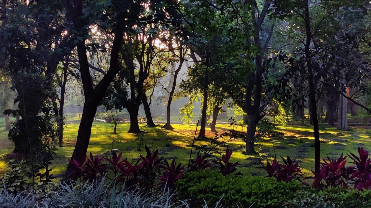 ಕಬ್ಬನ್ ಪಾರ್ಕ್ಗೆ ಭೇಟಿ ನೀಡುವವರಿಗೆ ಹೊಸ ನಿಯಮ: ಆನ್ಲೈನ್ ಅಭಿಯಾನಕ್ಕೆ ಬೆಂಗಳೂರಿಗರ ಭಾರಿ ಬೆಂಬಲ ಕಬ್ಬನ್ ಪಾರ್ಕ್ಗೆ ಭೇಟಿ ನೀಡುವವರಿಗೆ ಹೊಸ ನಿಯಮ: ಆನ್ಲೈನ್ ಅಭಿಯಾನಕ್ಕೆ ಬೆಂಗಳೂರಿಗರ ಭಾರಿ ಬೆಂಬಲ