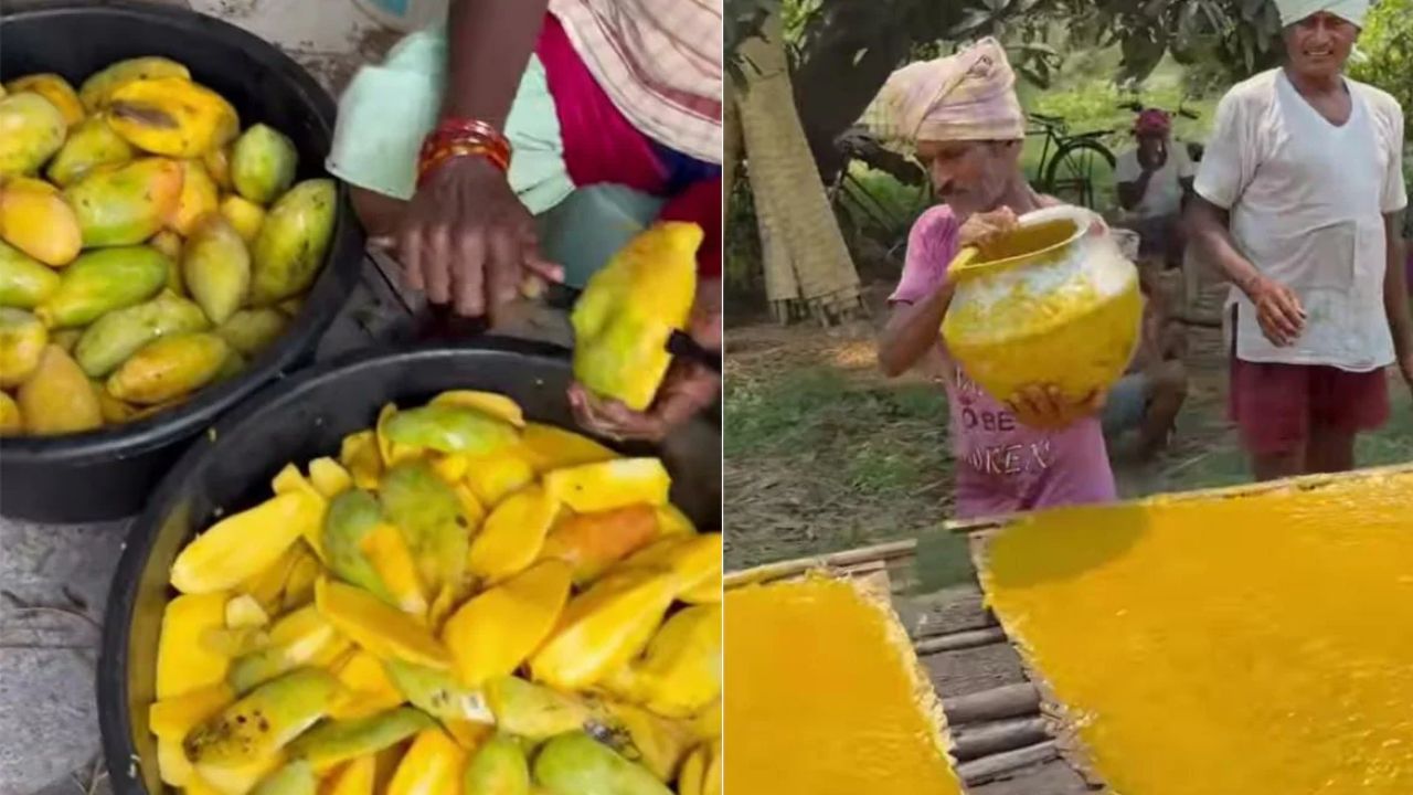 Viral video: ಮಾವಿನಹಣ್ಣಿನ ಹಪ್ಪಳ ತಯಾರಿಸುವುದು ಹೇಗೆ? ಈ ವೈರಲ್ ವೀಡಿಯೊ ನೋಡಿ