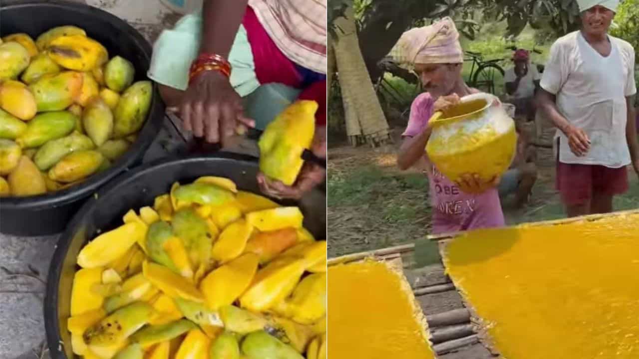 Viral video: ಮಾವಿನಹಣ್ಣಿನ ಹಪ್ಪಳ ತಯಾರಿಸುವುದು ಹೇಗೆ? ಈ ವೈರಲ್ ವೀಡಿಯೊ ನೋಡಿ Viral video: ಮಾವಿನಹಣ್ಣಿನ ಹಪ್ಪಳ ತಯಾರಿಸುವುದು ಹೇಗೆ? ಈ ವೈರಲ್ ವೀಡಿಯೊ ನೋಡಿ
