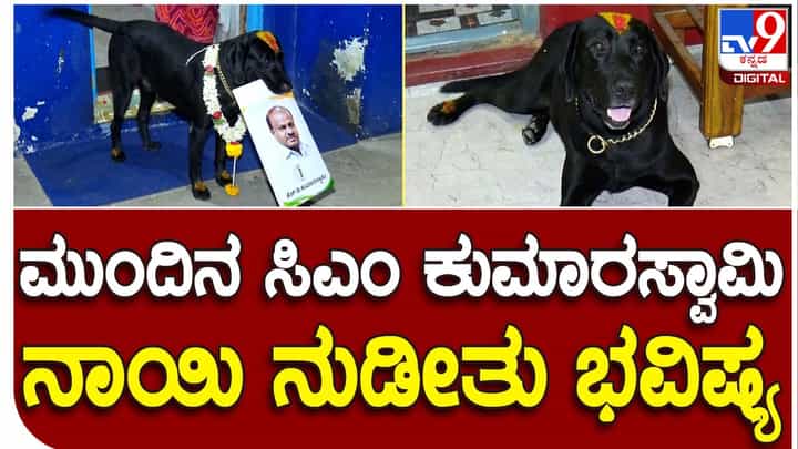 Karnataka Assembly Polls: ಮಂಡ್ಯದ ನಾಯಿಯೊಂದರ ಪ್ರಕಾರ ರಾಜ್ಯದ ಮುಂದಿನ ಮುಖ್ಯಮಂತ್ರಿ ಹೆಚ್ ಡಿ ಕುಮಾರಸ್ವಾಮಿ Karnataka Assembly Polls: ಮಂಡ್ಯದ ನಾಯಿಯೊಂದರ ಪ್ರಕಾರ ರಾಜ್ಯದ ಮುಂದಿನ ಮುಖ್ಯಮಂತ್ರಿ ಹೆಚ್ ಡಿ ಕುಮಾರಸ್ವಾಮಿ