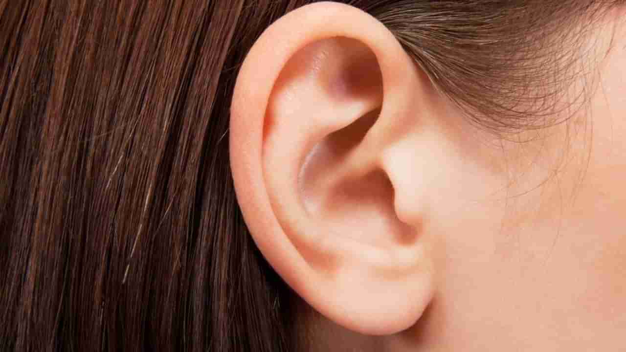 Ear Care: ಆರೋಗ್ಯಕರ ಕಿವಿಗಳಿಗಾಗಿ 4 ತಜ್ಞರ ಬೆಂಬಲಿತ ಆಯುರ್ವೇದ ಸಲಹೆಗಳು