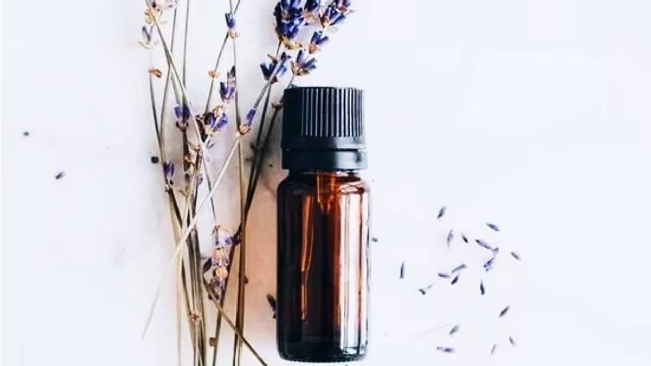 ಸಾರಭೂತ ತೈಲಗಳು(Essential oils): ಪುದೀನಾ, ಲ್ಯಾವೆಂಡರ್ ಮತ್ತು ಚಹಾ ಮರದ ಎಣ್ಣೆಯಂತಹ ಕೆಲವು ಸಾರಭೂತ ತೈಲಗಳು ನೈಸರ್ಗಿಕ ಕೀಟ ನಿವಾರಕಗಳಾಗಿ ಕಾರ್ಯನಿರ್ವಹಿಸುತ್ತವೆ. ನೀರಿನೊಂದಿಗೆ ಡಿಫ್ಯೂಸರ್ ಅಥವಾ ಸ್ಪ್ರೇ ಬಾಟಲಿಗೆ ಕೆಲವು ಹನಿಗಳನ್ನು ಸೇರಿಸಿ, ಬಾಗಿಲುಗಳು, ಕಿಟಕಿಗಳು ಮತ್ತು ಇತರ ಪ್ರದೇಶಗಳ ಸುತ್ತಲೂ ಸಿಂಪಡಿಸಬೇಕು.