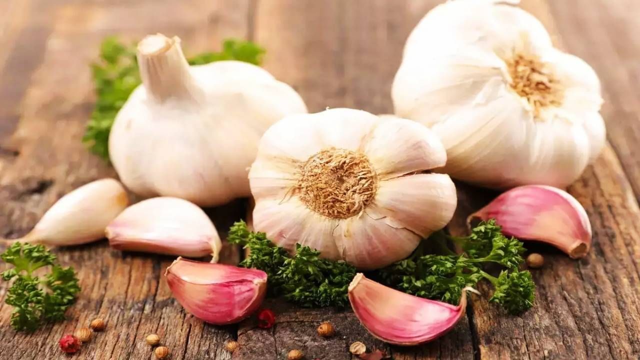 ಬೆಳ್ಳುಳ್ಳಿ(Garlic): ಕೆಲವು ಬೆಳ್ಳುಳ್ಳಿ, ಲವಂಗವನ್ನು ಪುಡಿಮಾಡಿ ಮತ್ತು ನೀರಿನೊಂದಿಗೆ ಮಿಶ್ರಣ ಮಾಡಿ,  ಸ್ಪ್ರೇ ಮಾಡಬಹುದು. ಬೆಳ್ಳುಳ್ಳಿಯ ವಾಸನೆಯು ಕೀಟಗಳನ್ನು ಹತ್ತಿರ ಬರದಂತೆ ತಡೆಯುತ್ತದೆ. 