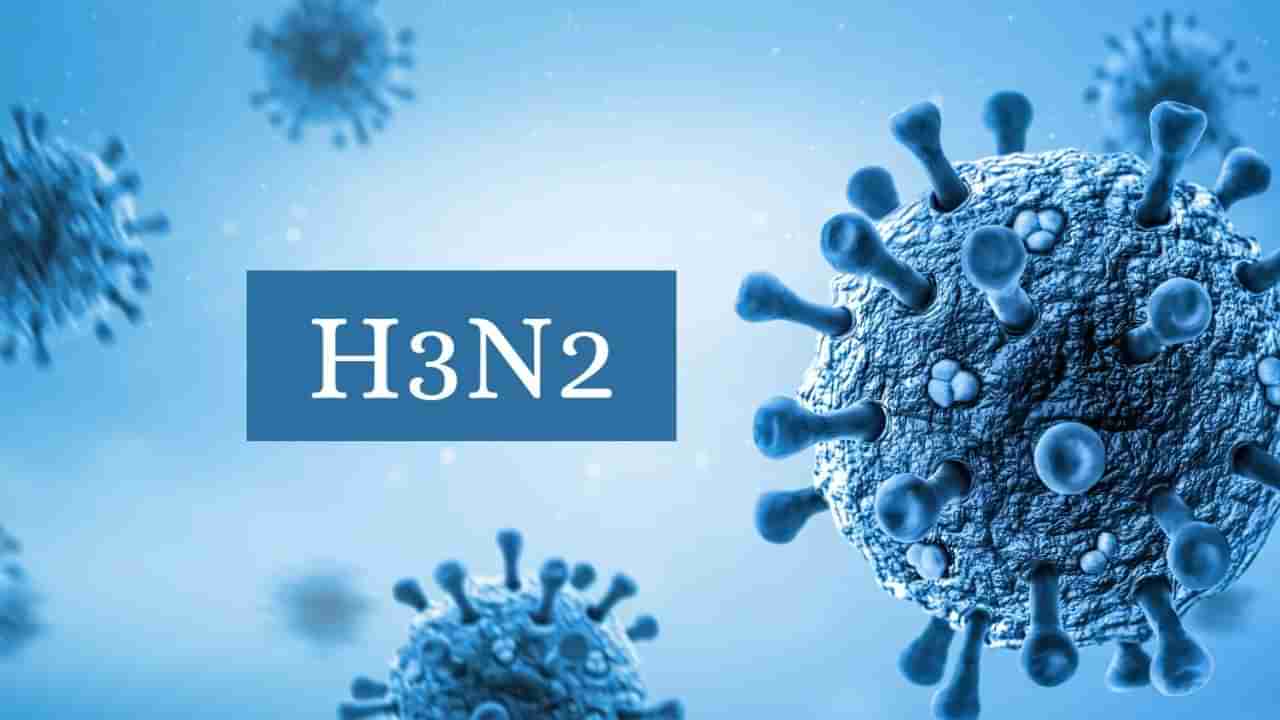 H3N2 Virus: ಇದರಿಂದ ಉಂಟಾಗುವ ದೀರ್ಘಕಾಲದ ಪರಿಣಾಮಗಳು ಯಾವುವು? ಇಲ್ಲಿವೆ ಸಲಹೆಗಳು