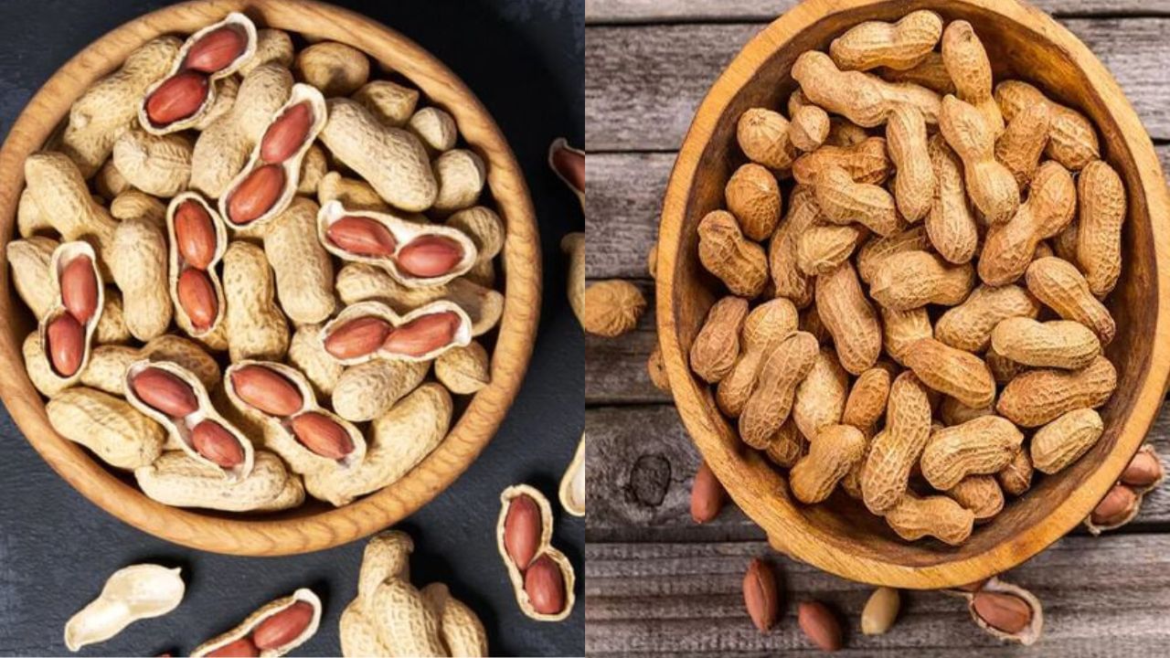 Groundnut: ನೆಲಗಡಲೆ - ಕಡಲೆ ಕಾಯಿ ಹೆಚ್ಚು ತಿಂದರೆ ಈ ಎಲ್ಲಾ ಆರೋಗ್ಯ ಸಮಸ್ಯೆ ಎದುರಾಗುತ್ತದೆ, ಎಚ್ಚರವಿರಲಿ!