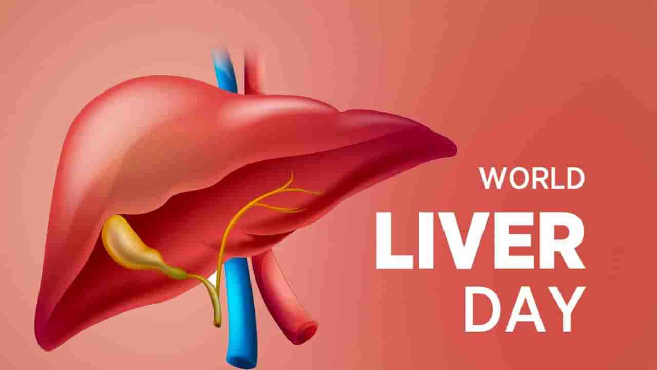 World Liver Day 2023: ಮಧುಮೇಹವು ಯಕೃತ್ತಿನ ಮೇಲೆ ಹೇಗೆ ಪರಿಣಾಮ ಬೀರುತ್ತದೆ? ಅದರ ನಿರ್ವಹಣೆ ಹೇಗೆ?