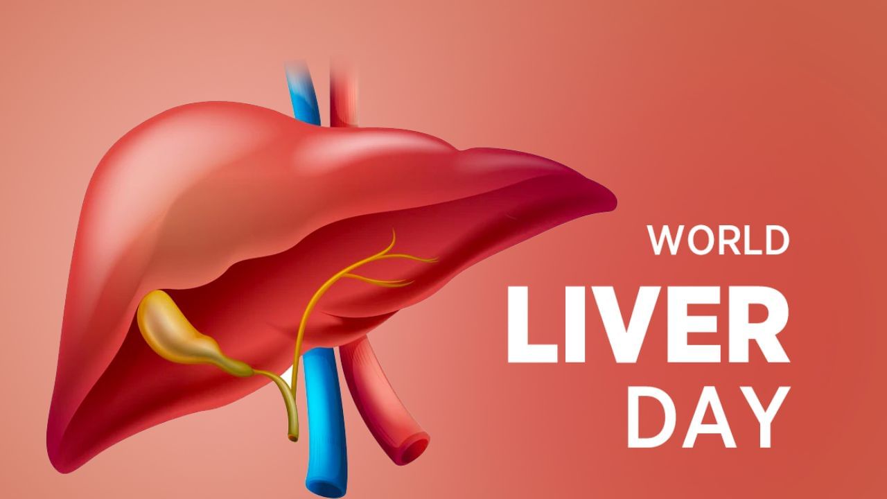 World Liver Day 2023: ಮಧುಮೇಹವು ಯಕೃತ್ತಿನ ಮೇಲೆ ಹೇಗೆ ಪರಿಣಾಮ ಬೀರುತ್ತದೆ? ಅದರ ನಿರ್ವಹಣೆ ಹೇಗೆ?