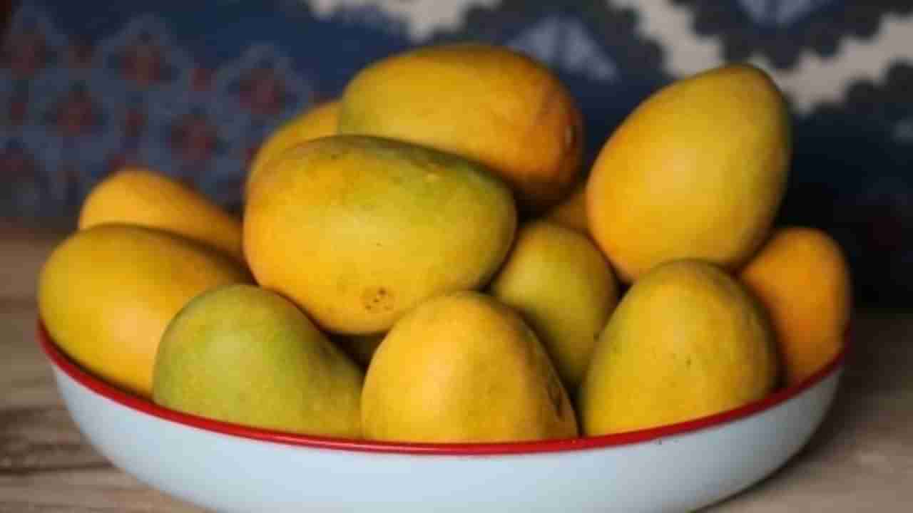 Mangoes Benefits: ತಿನ್ನುವ ಮೊದಲು ಮಾವಿನಹಣ್ಣುಗಳನ್ನು ನೆನೆಸುವುದು ಮುಖ್ಯವೇ? ತಜ್ಞರು ಸಲಹೆ ಇಲ್ಲಿದೆ