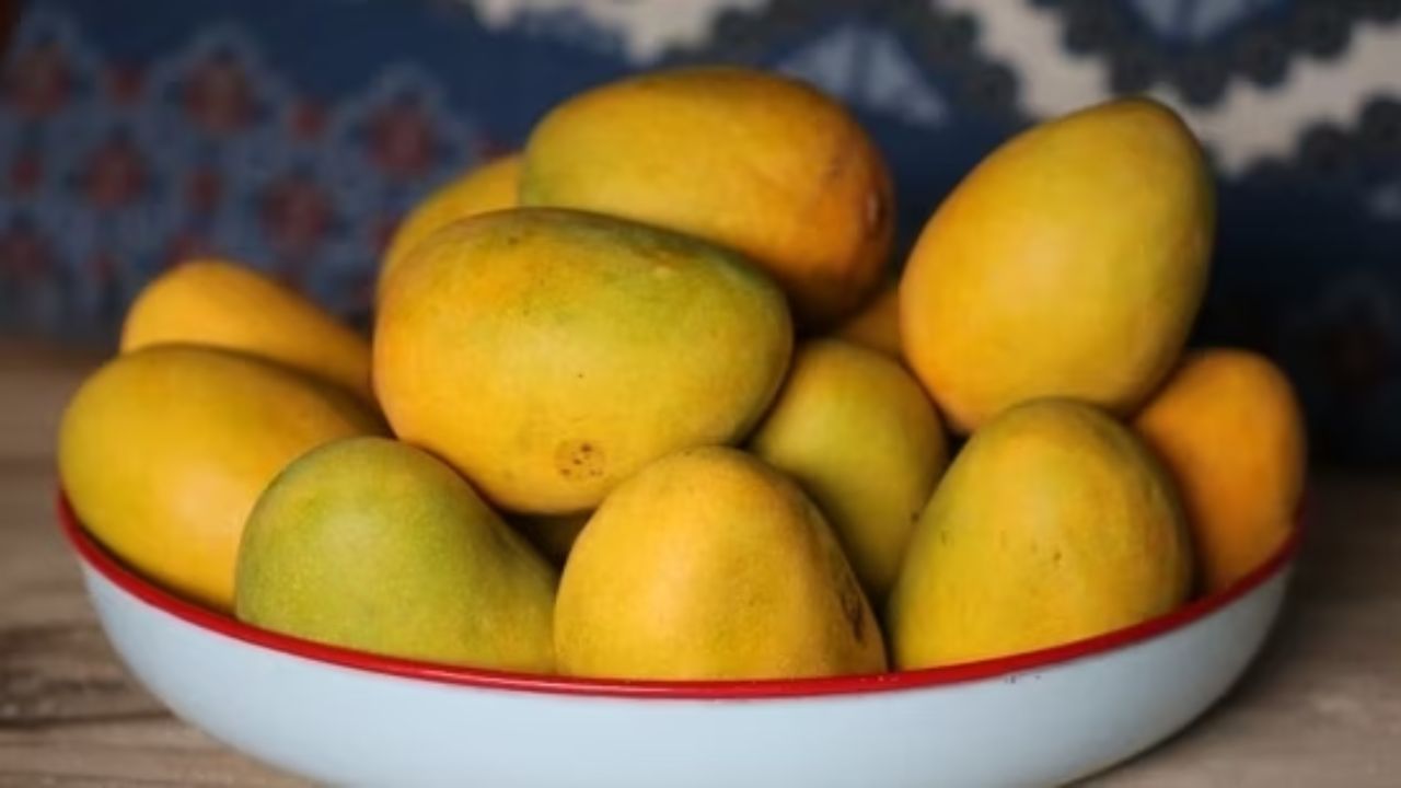 Mangoes Benefits: ತಿನ್ನುವ ಮೊದಲು ಮಾವಿನಹಣ್ಣುಗಳನ್ನು ನೆನೆಸುವುದು ಮುಖ್ಯವೇ? ತಜ್ಞರು ಸಲಹೆ ಇಲ್ಲಿದೆ Mangoes Benefits: ತಿನ್ನುವ ಮೊದಲು ಮಾವಿನಹಣ್ಣುಗಳನ್ನು ನೆನೆಸುವುದು ಮುಖ್ಯವೇ? ತಜ್ಞರು ಸಲಹೆ ಇಲ್ಲಿದೆ