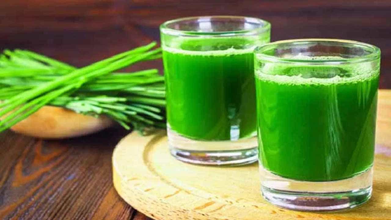Green Juice Benefits: ಸೆಖೆ ಸೆಖೆ ಎಂದು ಸಿಕ್ಕಿದ್ದೆಲ್ಲಾ ಕುಡೀಬೇಡಿ, ಈ 5 ಬಗೆಯ ಗ್ರೀನ್ ಜ್ಯೂಸ್ಗಳನ್ನು ಟ್ರೈ ಮಾಡಿ Green Juice Benefits: ಸೆಖೆ ಸೆಖೆ ಎಂದು ಸಿಕ್ಕಿದ್ದೆಲ್ಲಾ ಕುಡೀಬೇಡಿ, ಈ 5 ಬಗೆಯ ಗ್ರೀನ್ ಜ್ಯೂಸ್ಗಳನ್ನು ಟ್ರೈ ಮಾಡಿ