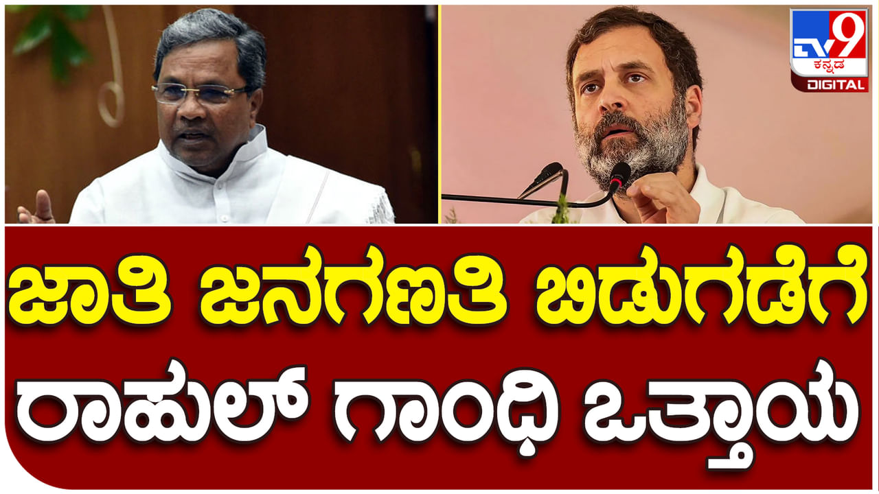 Karnataka Elections: ಜಾತಿ ಜನಗಣತಿಗೆ ಒತ್ತಾಯಿಸಿದ ರಾಹುಲ್ ಗಾಂಧಿ; ಚುನಾವಣೆಗೆ ಕಾಂಗ್ರೆಸ್ ತಂತ್ರ?