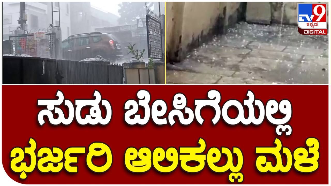 Kalaburagi Rain: ಕಲಬುರಗಿಯಲ್ಲಿ ಸುರಿಯಿತು ರಾಶಿ ರಾಶಿ ಆಲಿಕಲ್ಲು, ಭಾರೀ ಮಳೆ