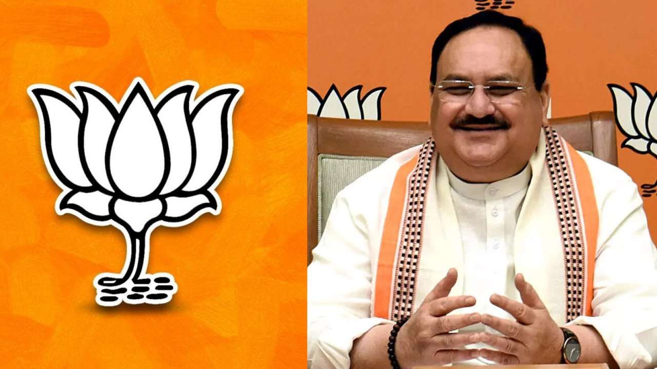 BJP Manifesto: ನಾಳೆ ಬಿಜೆಪಿ ಪ್ರಣಾಳಿಕೆ ಬಿಡುಗಡೆ, ಮಹಿಳೆಯರಿಗೆ ಉಚಿತ ಬಸ್ ಪಾಸ್